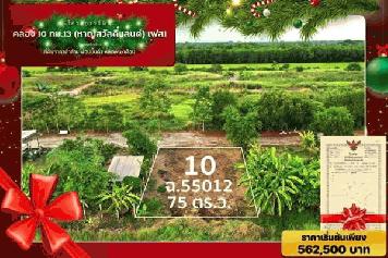 ถูกที่ดินใกล้โรงพยาบาลหนองเสือสดผ่อนทุกเงื่อนไข T.062-1574449